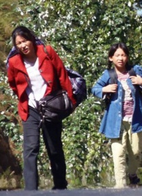 国产h在线观看